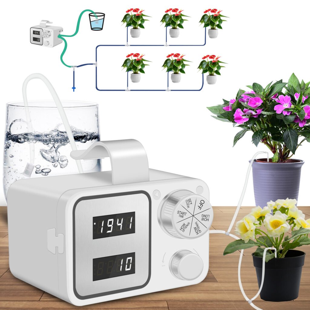 Indoor Watering